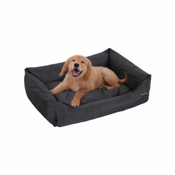 Helppohoitoinen koiranpeti XXL-koossa