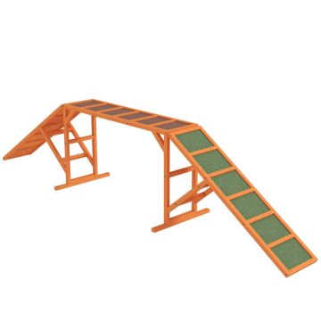 Koira agility -silta PawHut 325x55x69cm, eri väreissä