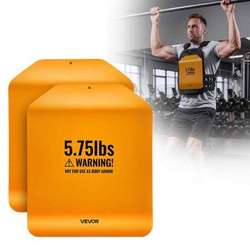 Painoliivilevyt VEVOR JSQB-5.75LB, 2 kpl, 2,6 kg/kpl, 295 × 240 × 30 mm