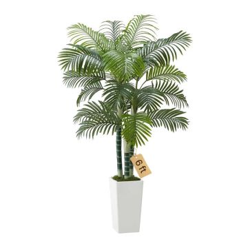Keinotekoinen areca-palmu 183 cm, valkoinen korkea ruukku, koristekasvi