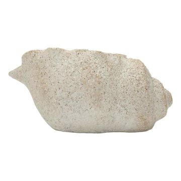Vase Shell Sand B, 35 × 18 × 23 cm