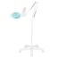 LED-suurennuslamppu GLOW MOONLIGHT 8013/6