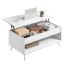 Coffee table VASAGLE LCT254L01, 2 drawers, 4 compartments, 100 × 58.5 × 50 cm