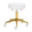 Barber chair Gabbiano D054G, White/gold