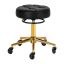 Barber chair Gabbiano D054G, Black/gold