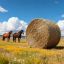 Hay bale net VEVOR WMDY25166, Knotless, 1.5 × 1.5 × 1.5 m