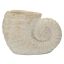 Vase Shell Sand A, 33 × 23 × 19 cm